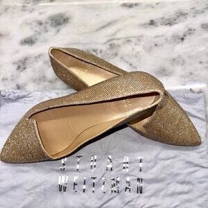 Stuart Weitzman Metalic Flats